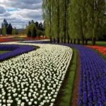 Community support and shared experiences